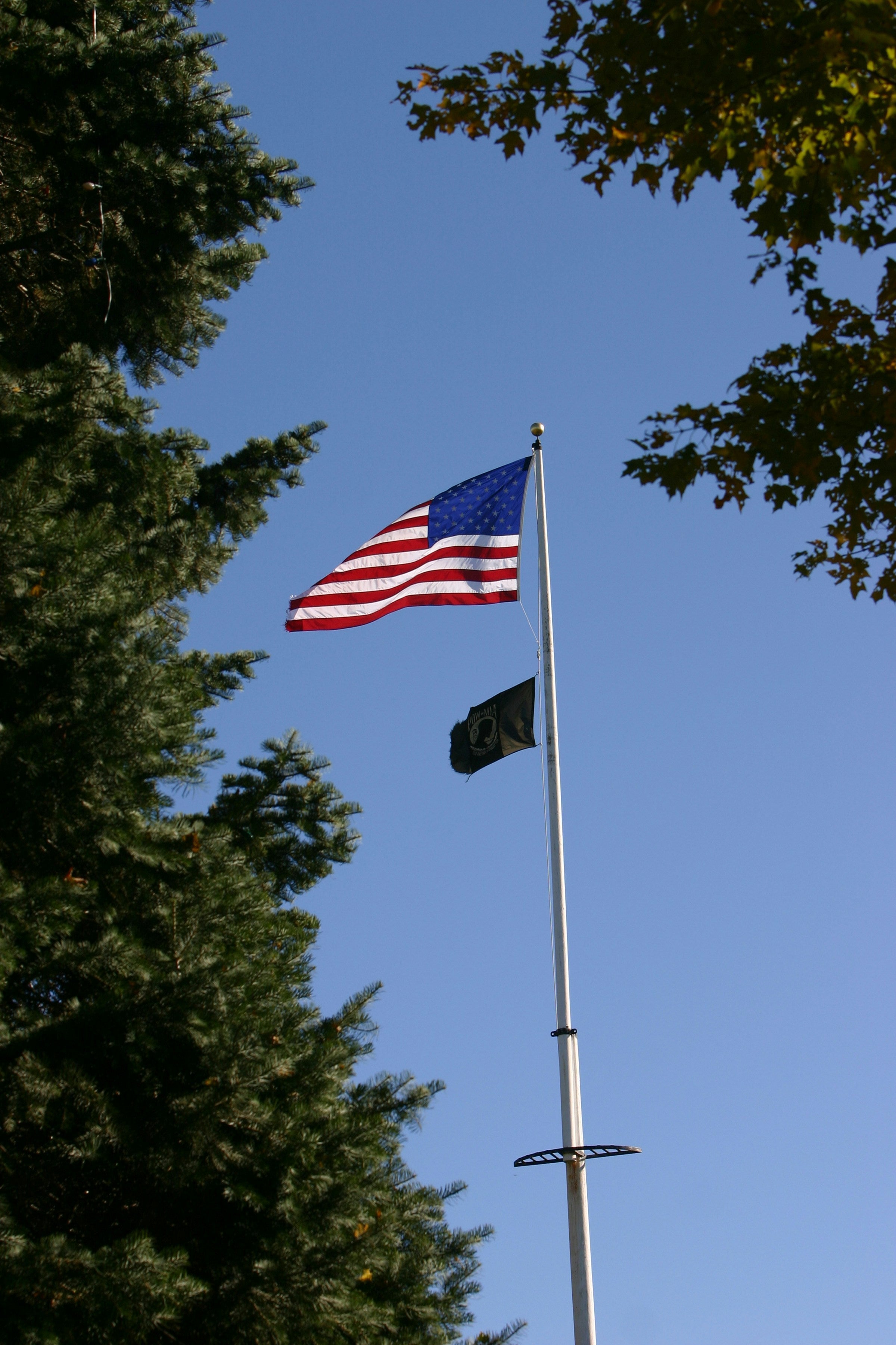 The Ultimate Guide to Choosing the Right Flag Pole