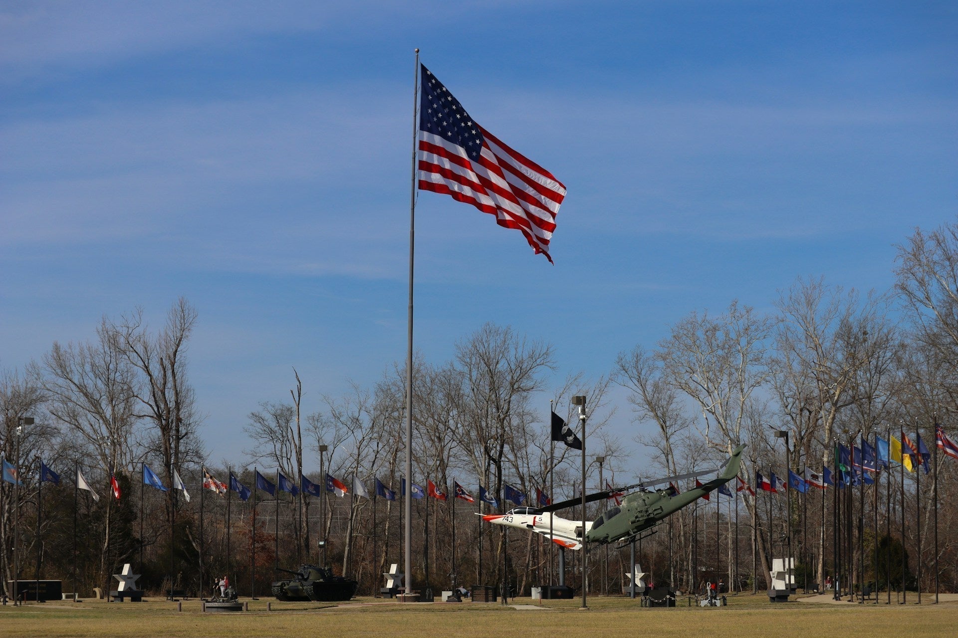 Large USA flag flying above rows of military service flags in a patriotic outdoor display