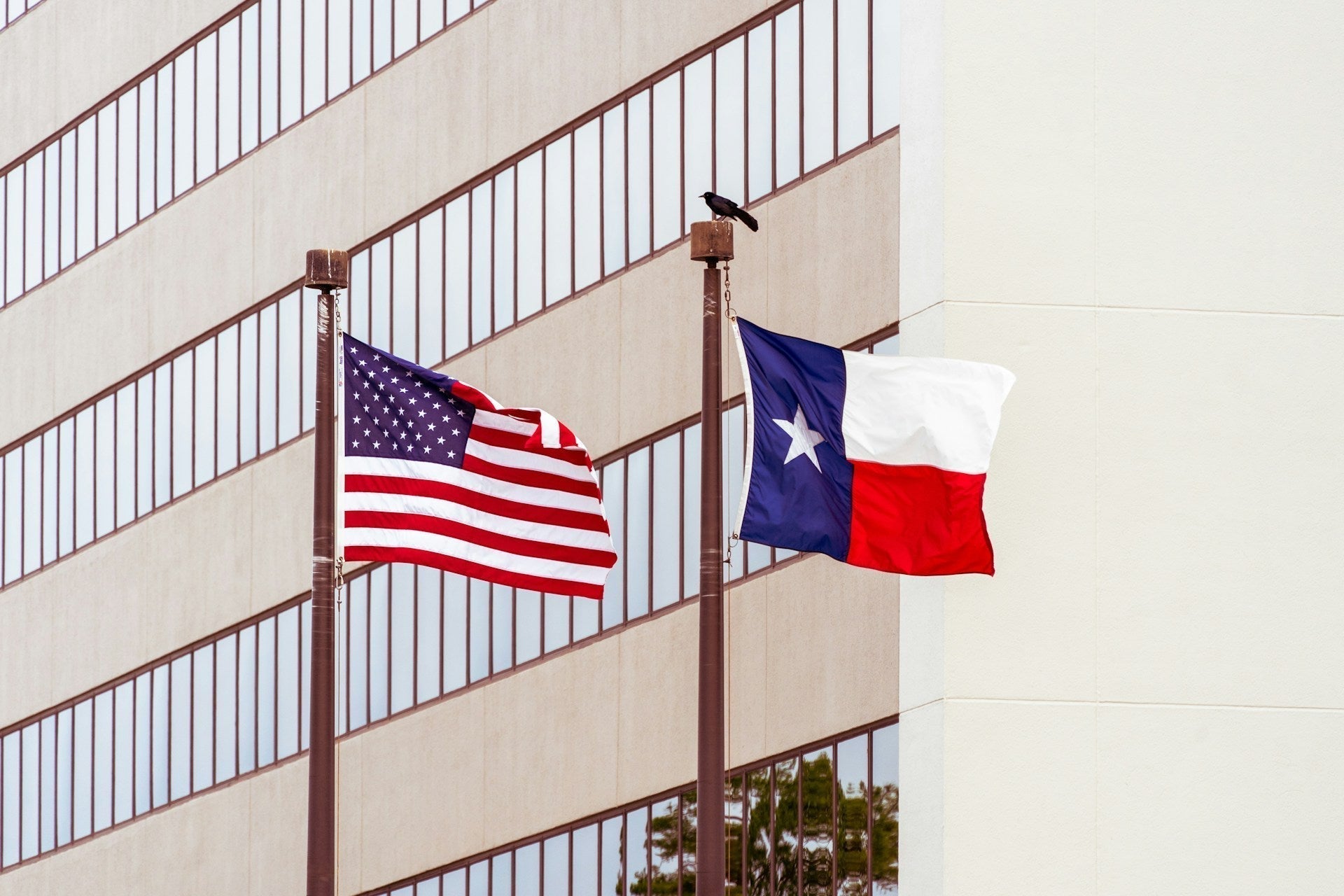 American flag and Texas flag flying side by side on flagpoles in Texas